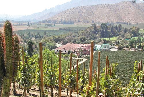 12 rouges des Andes: Les Andes recto verso