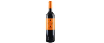 Le tempranillo, un caméléon