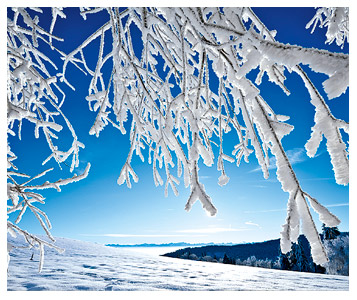 Chaîne du froid