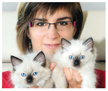 Chat et bénéfice ne riment pas