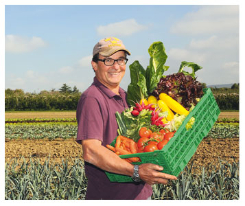 Un panier comme écrin de la proximité