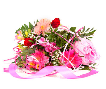 Fleurs de la discorde!