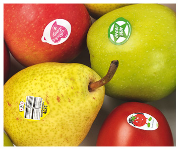 Pas de bisphénol A sur les fruits