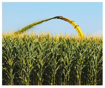 OGM et aliments
