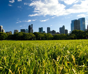 Ville ou campagne,  que choisir?
