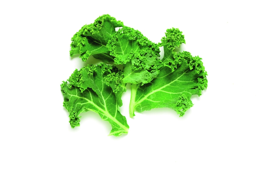 Chou kale, le chouchou des choux