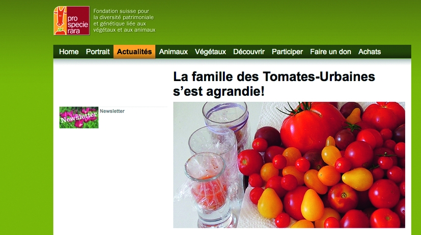 Légumes rares au balcon