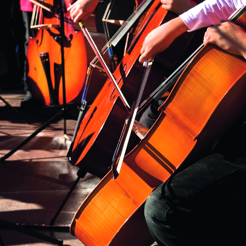 Petits ruisseaux, grands concerts