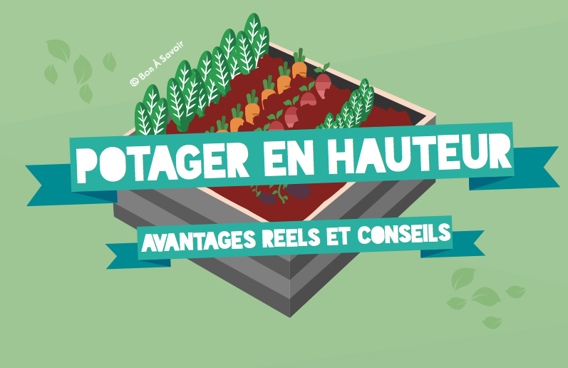 Prendre de la hauteur avec son potager