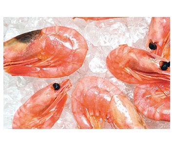 Crevettes congelées