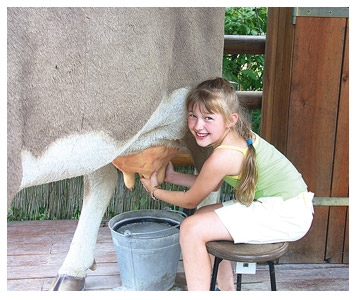 Lait cru oui, mais bouilli...