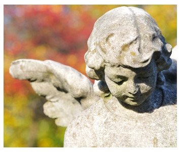 Où sont mes parents disparus?