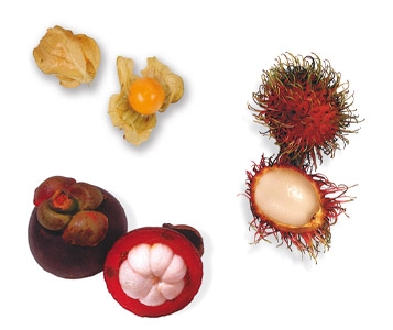 Osez les saveurs exotiques!
