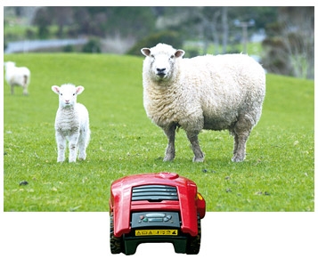 Mon mouton à accu