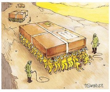 Par qui remplacer Amazon?