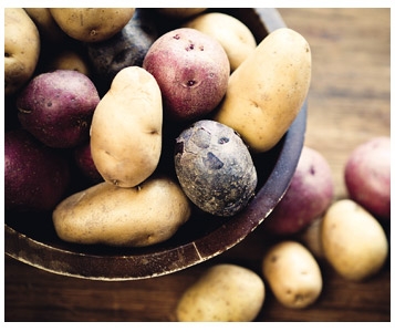 La patate entre mythes et réalité