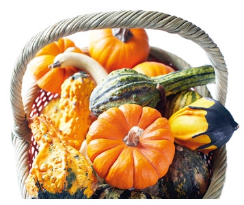 Mangez la courge d’Halloween!