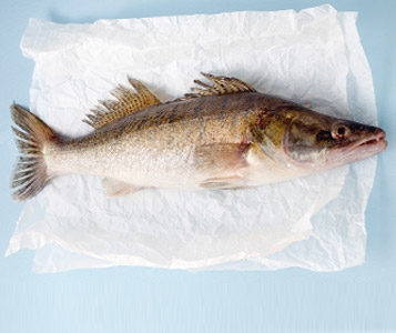 Poissons d'eau douce: une alternative de choix