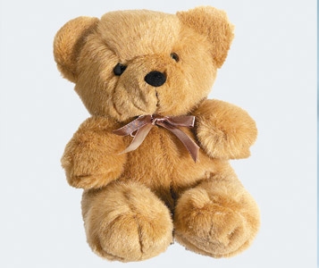 15 ours en peluche: à toute épreuve