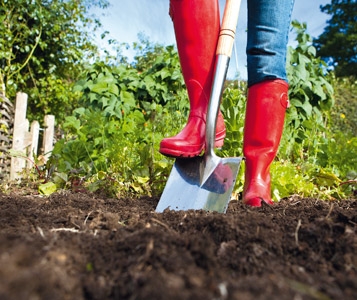 12 pelles à jardin: Une bonne pelle vaut son prix