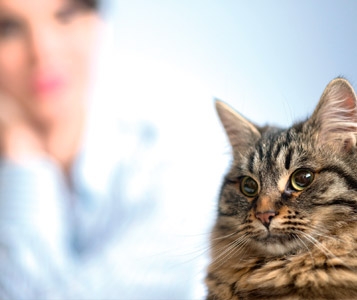 Un baby-sitter pour animaux