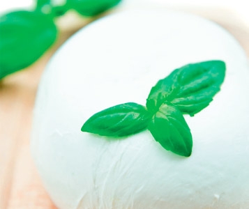Mozzarella  un peu spéciale