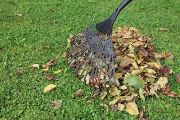 Effroyable jardin