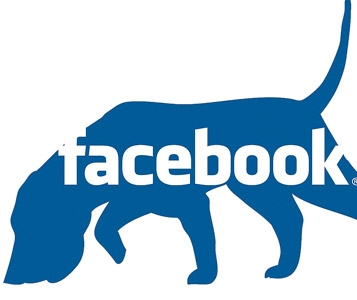 Semer Facebook et ses publicités ciblées