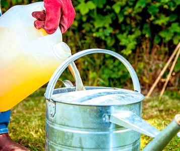 Les meilleurs engrais liquides pour votre jardin