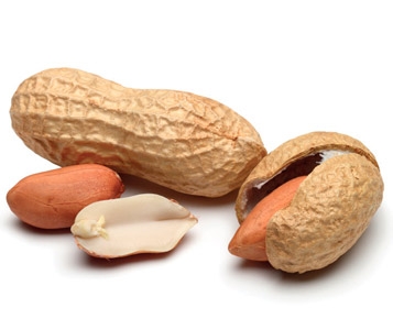 Des cacahuètes contre les allergies