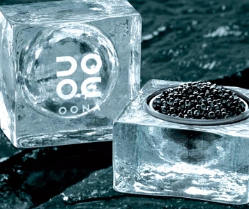 Pour les Fêtes, caviar et vodka suisses
