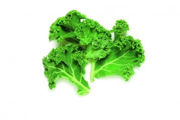 Chou kale, le chouchou des choux
