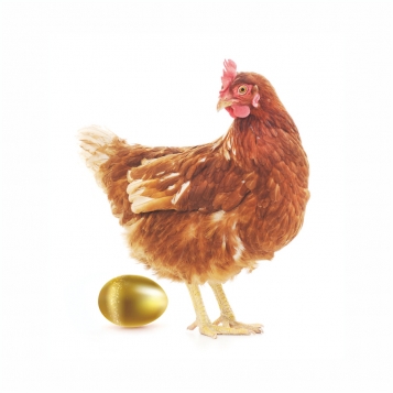 Immobilier: la poule aux œufs d’or?