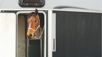 À cheval sur la loi