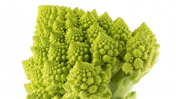 Le chou romanesco est-il plus digeste que le chou-fleur?