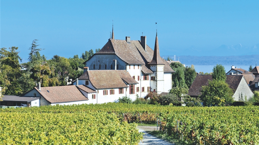 12 rosés suisses et français 2015, de super marchés, de 5.95 fr. à 17.90 fr.: Rosés: l'œil ou les côtes?