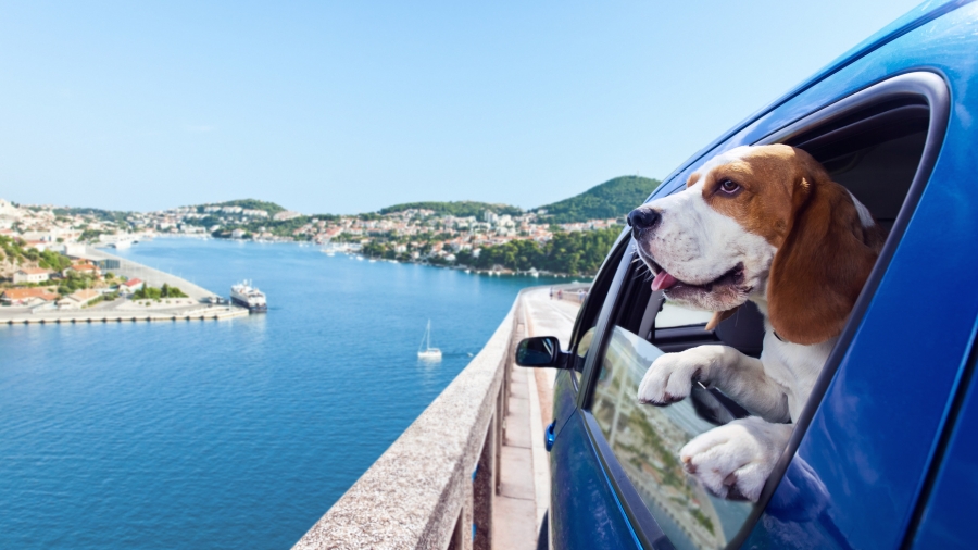 Mes vacances quand je veux?