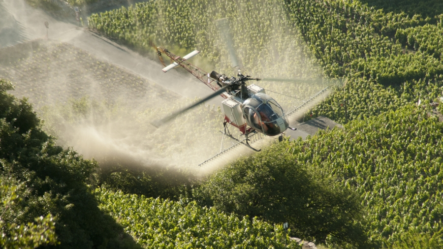 Une pluie de pesticides troublante