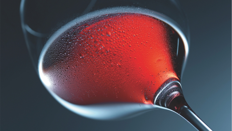 13 pinots noirs suisses de supermarchés, à moins de 15 fr.: Les vaudois pinotent fort