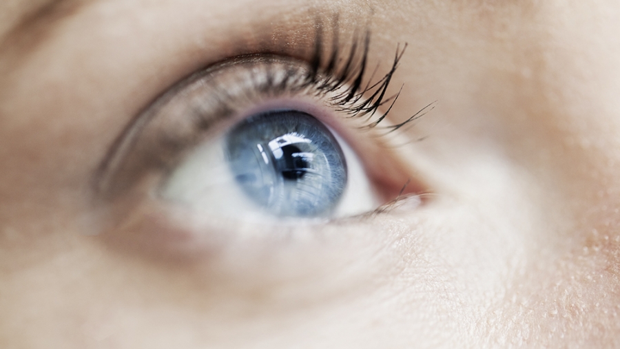 Des mouches volantes dans les yeux