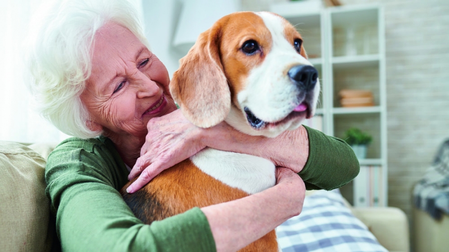 Adopter un animal pour garder le moral et la forme?